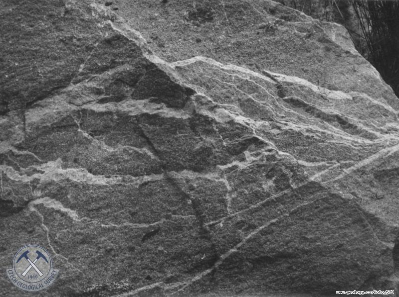 Fotografie : Aplitick injekce v granodioritu szavskho typu, Horn Mra
