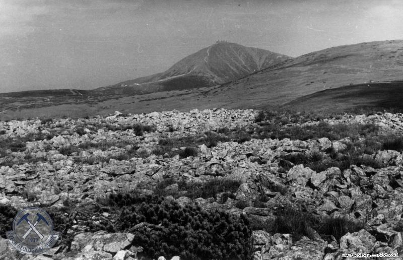 Fotografie : Polygonln pdy na Lun hoe v Krkonoch, Lun hora