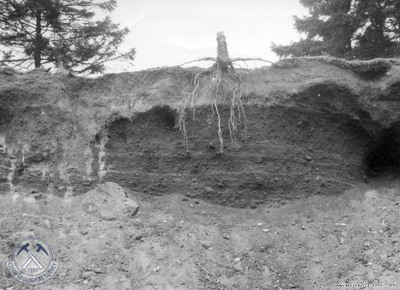 Fotografie : Pyroklastika v odkryvu na vchodnm pat Komorn Hrky, Komorn Hrka u Chebu