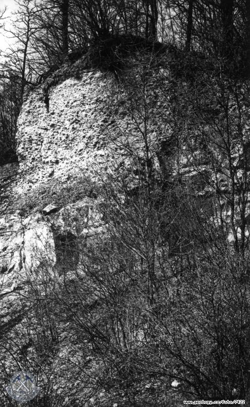 Fotografie : Tortonsk pbojov vpence uloen na devonskch vpencch, oputn lom u sttn silnice Hranice - Valask Mezi, asi 1,5 km od ernotna, ernotn