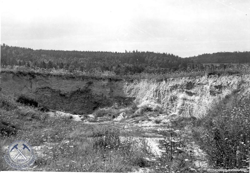 Fotografie : trkovnk v glacilakustrinnch pskotrcch vpravo od silnice Hj-Jileovice., Hj ve Slezku