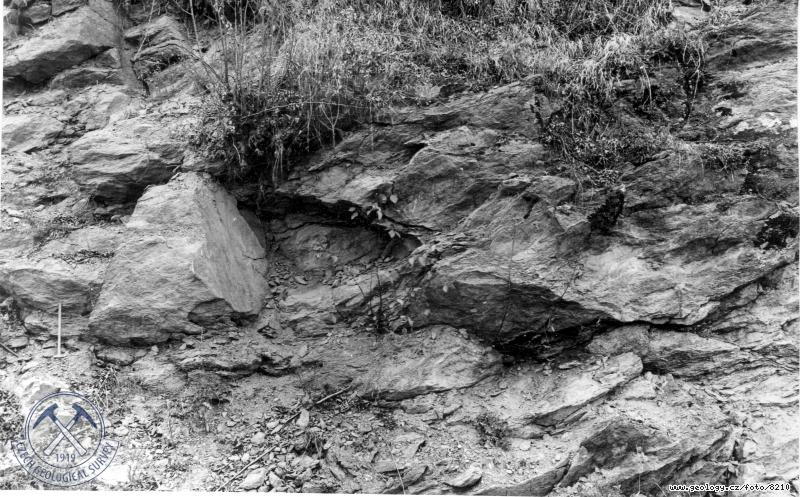 Fotografie : Jin st vchozu na pravobenm dolnm svahu Otavy: Migmatitick ruly nepravideln rozpukan a rozvolnn., vchodn od Novho Msteka