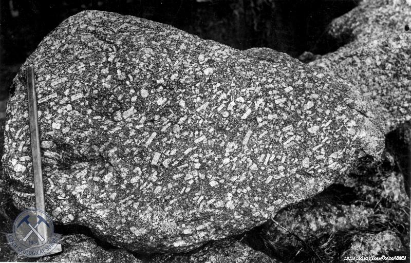 Fotografie : Vakovit blok porfyrick uly (granodioritu) prilskho typu na l.svahu Kemeln jz. kt.839, sz.os bv.mlna., zpadn od Glaserwaldu