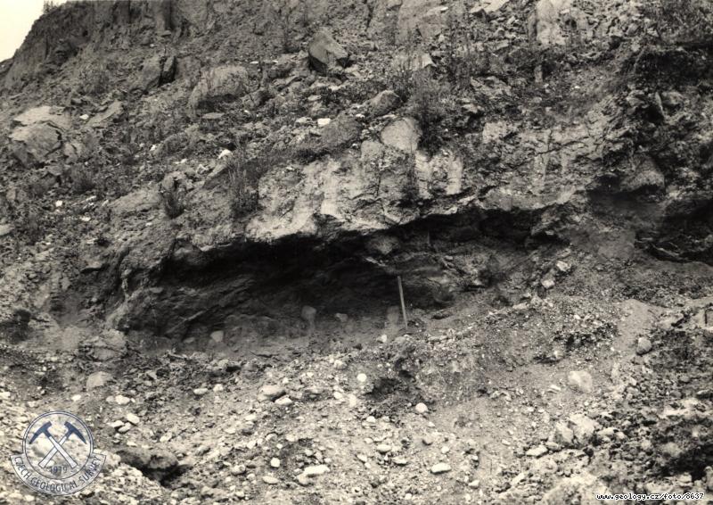 Fotografie : Terasov trky v nadlo tortonskch sdrovcovch tgl v sv.stn dolu v Opav-Kateinkch, Kateinky