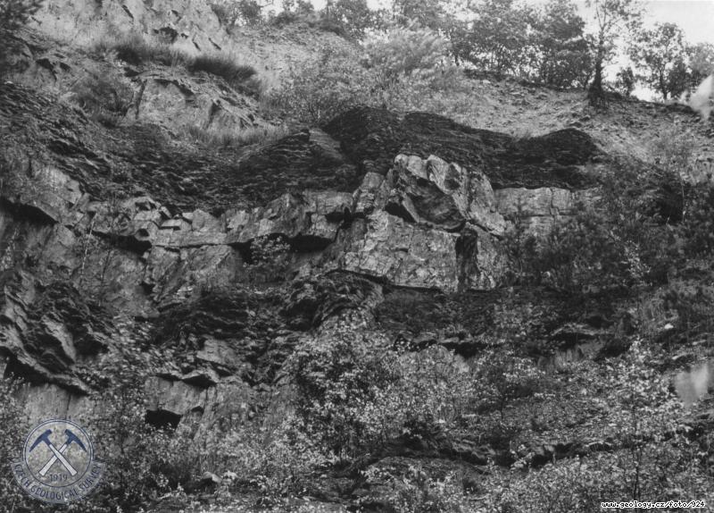 Fotografie : Stdn svtlch kvarcit s ernmi jlovmi bidlicemi v oputnm lomu pi silnici Beroun - Hskov, Pleivec