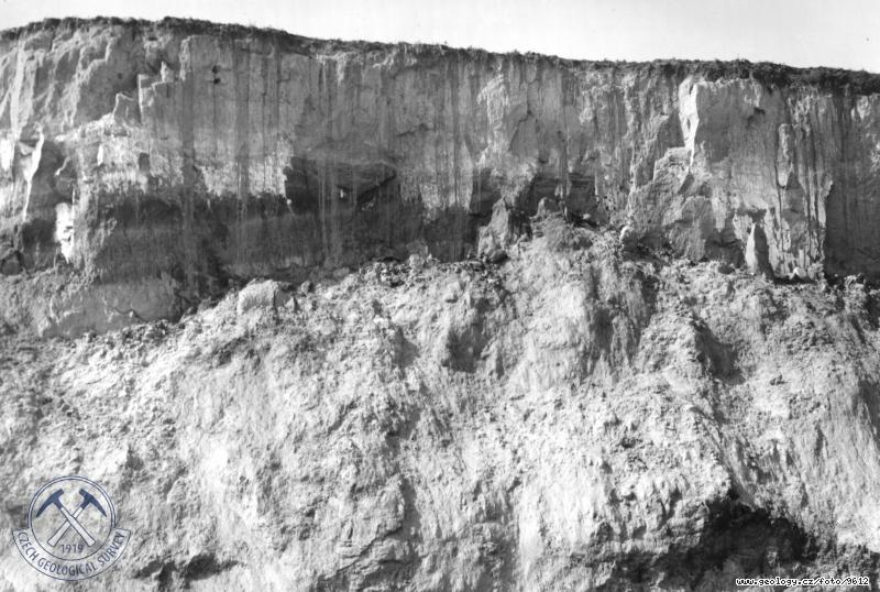 Fotografie : Zpadn stna hlinit cihelny. Sloupovit rozpukan spra, pohben fossiln pda., Libice nad Vltavou