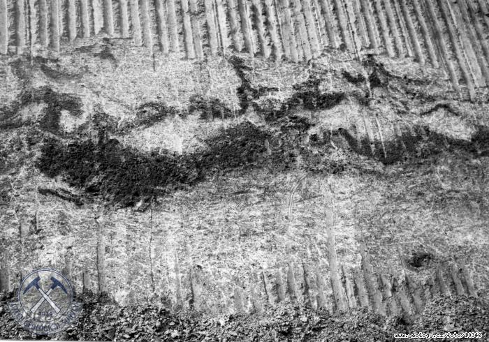 Fotografie : Kryoturbovan soliflukn sedimenty - detail, Polom