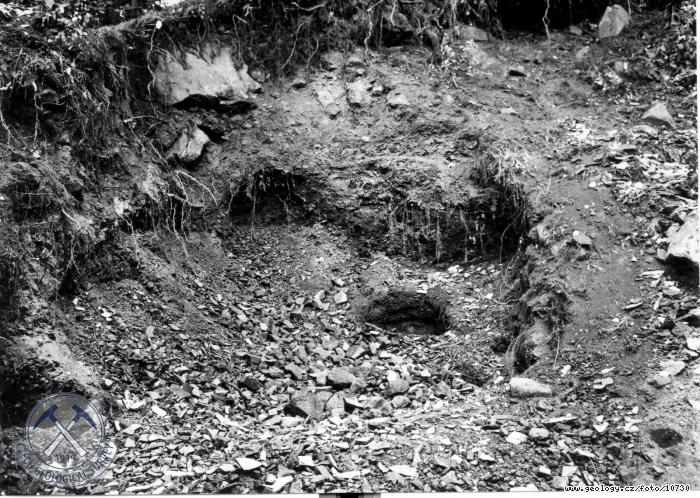 Fotografie : Bechlejovice u Dna, odkryv diatomit pod Bechlejovickou stnou., Bechlejovice u Dna