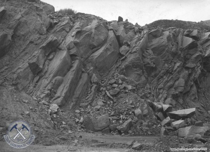 Fotografie : Nadlon pskovce v ke fosilnho sesuvu na dole Maxim Gorkij, sek Blina, Blina