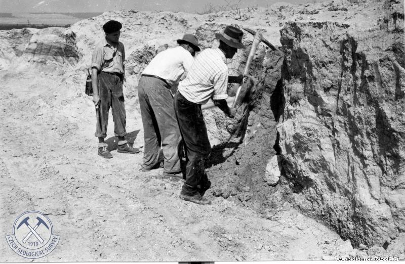 Fotografie : Dr. Fejfar instruuje kope pi odkrvn vrstvy psku z fosilnch kost, Slepany v okrese Zlat Moravce