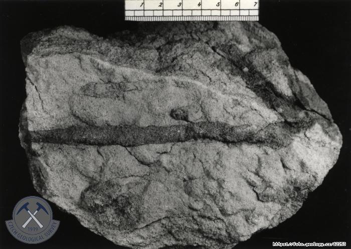 Fotografie : Lom u Devti K (trias), Lom u Devti K (trias)