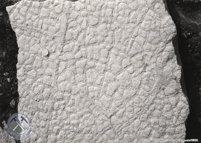 Fotografie : Lom u Devti K (trias), Lom u Devti K (trias)