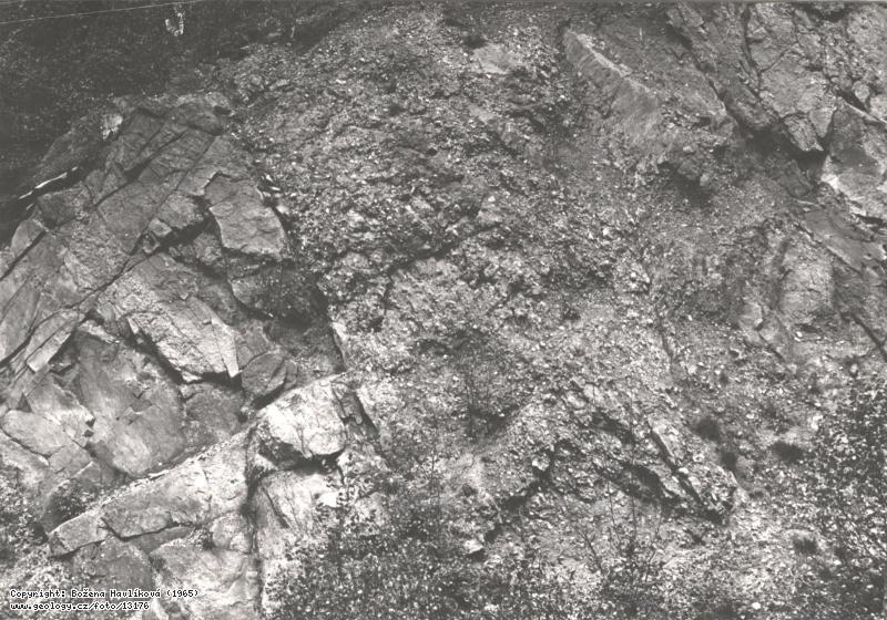 Fotografie : Skaln stna v Petrovicch (petrovick vrstvy), Skaln stna v Petrovicch (petrovick vrstvy)