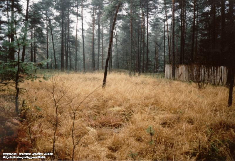 Fotografie : Nad Dolsk�m ml�nem, Nad Dolsk�m ml�nem
