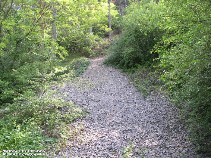 Fotografie Orthocerov lmek: Orthocerov lmek, Orthocerov lmek