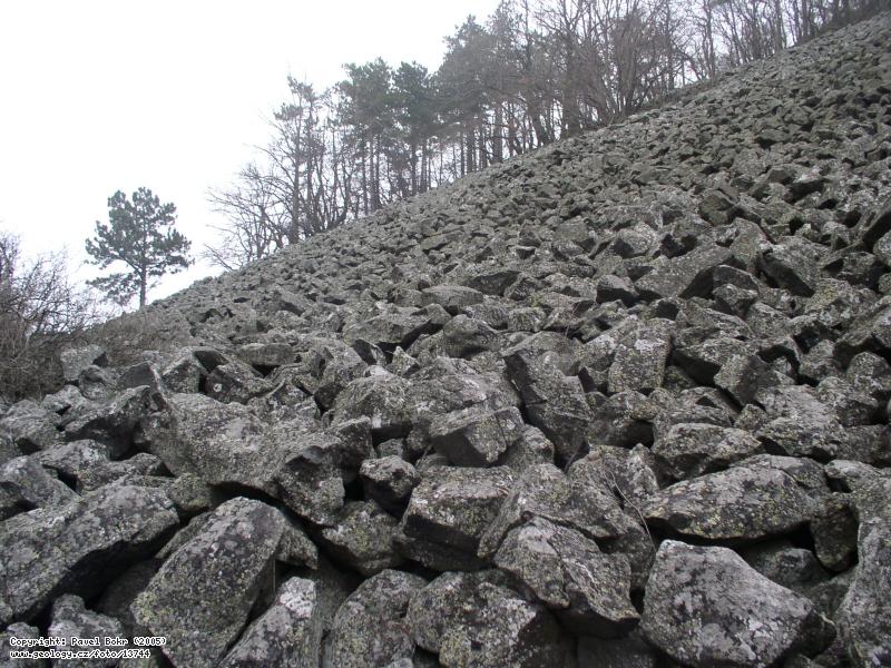 FOTO: Kamenné moře na Blešenském vrchu :: Fotoarchiv - Česká geologická  služba