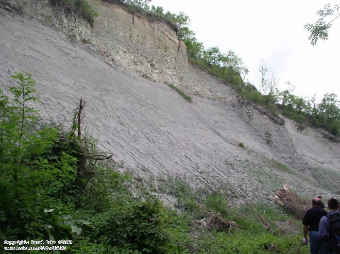 Fotografie Křídové sedimenty: Křídové sedimenty v zářezu Ohře, Kystra