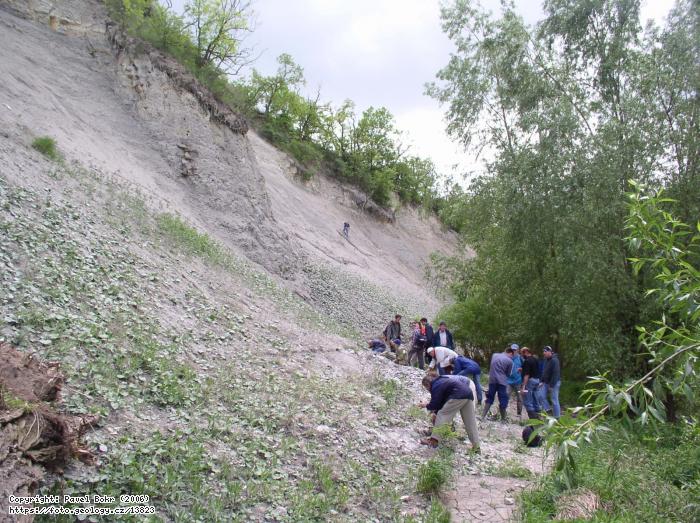 Fotografie Kdov sedimenty: Kdov sedimenty v zezu Ohe, Kystra