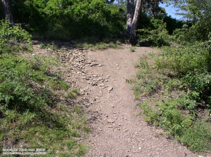 Fotografie Zahoansk stratotyp: Zahoansk stratotyp, Zahoansk stratotyp