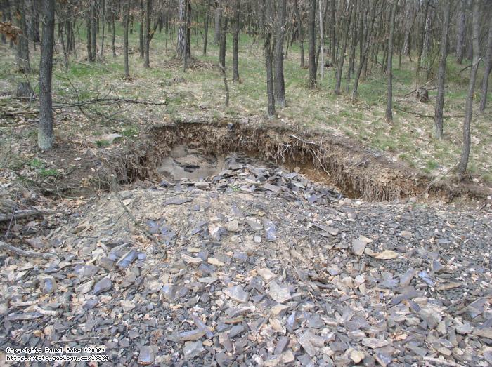 Fotografie Felbabka: Felbabka, Felbabka