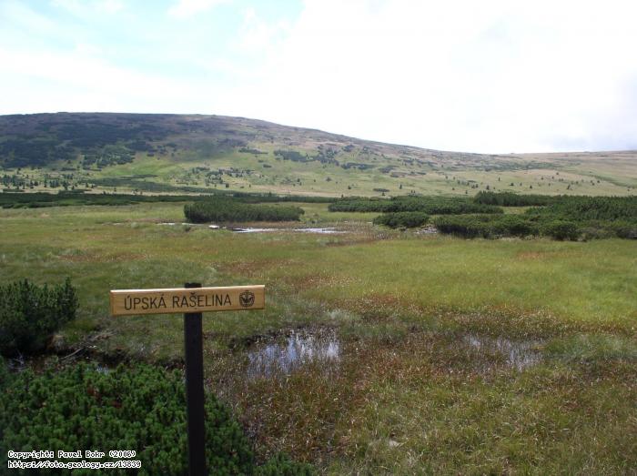 Fotografie psk raelina: psk raelina, psk raelina