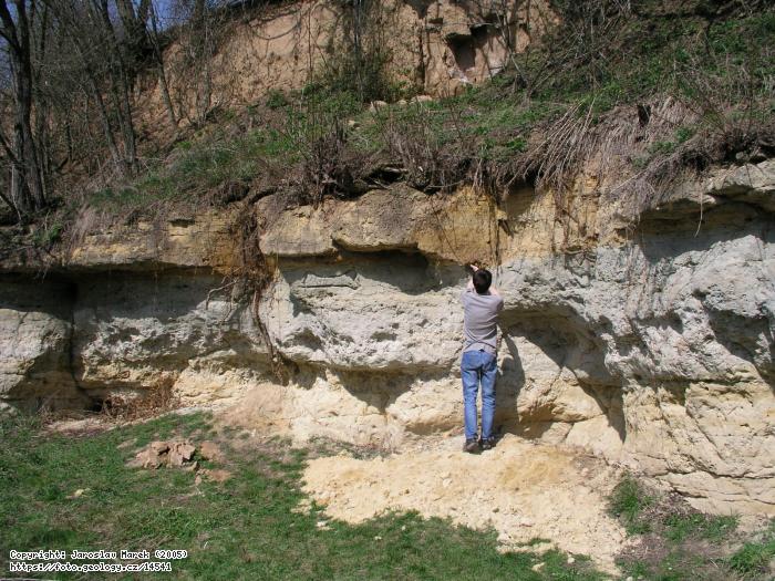 Fotografie erven Peky: erven Peky, erven Peky
