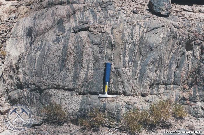 Fotografie Deformovan enklvy: Deformovan dioritov enklvy v granodioritu, Zamyn Bilgekh