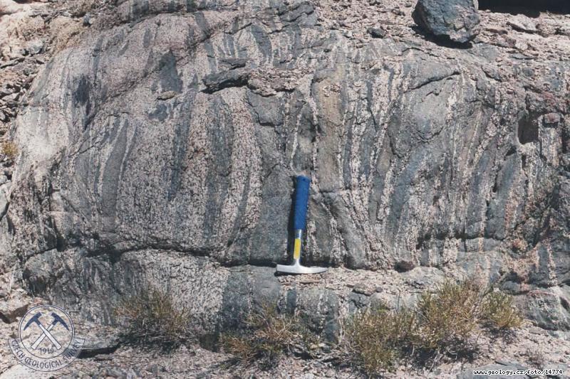Fotografie Deformovan enklvy: Deformovan dioritov enklvy v granodioritu, Zamyn Bilgekh