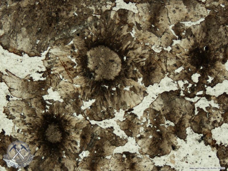 Fotografie Kolonie: Kolonie u Blatnice - mikrofotografie sideritov konkrece ze starch hald, Kolonie