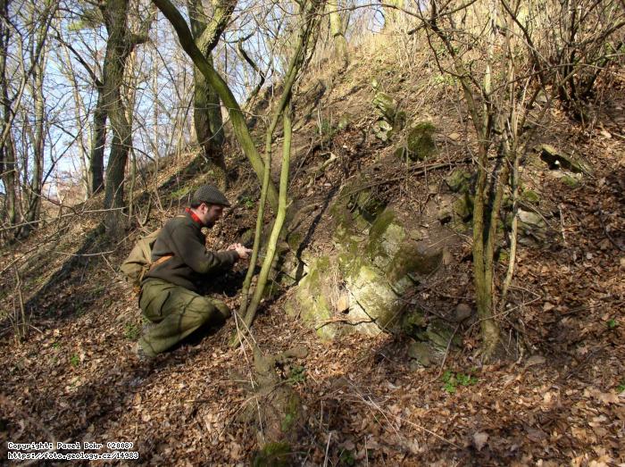 Fotografie ovka u Zahoan: ovka u Zahoan - sedimenty letenskho souvrstv, ovka u Zahoan