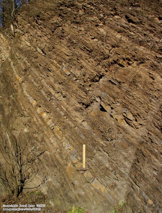 Fotografie Flyov sedimenty: Flyov sedimenty letenskho souvrstv na Tesan skle u Zahoan, Tesan skla u Zahoan