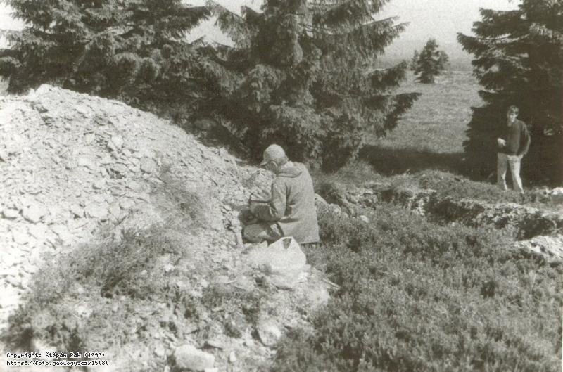 Fotografie Tok: Vrch Tok v Brdech, Vrch Tok v Brdech