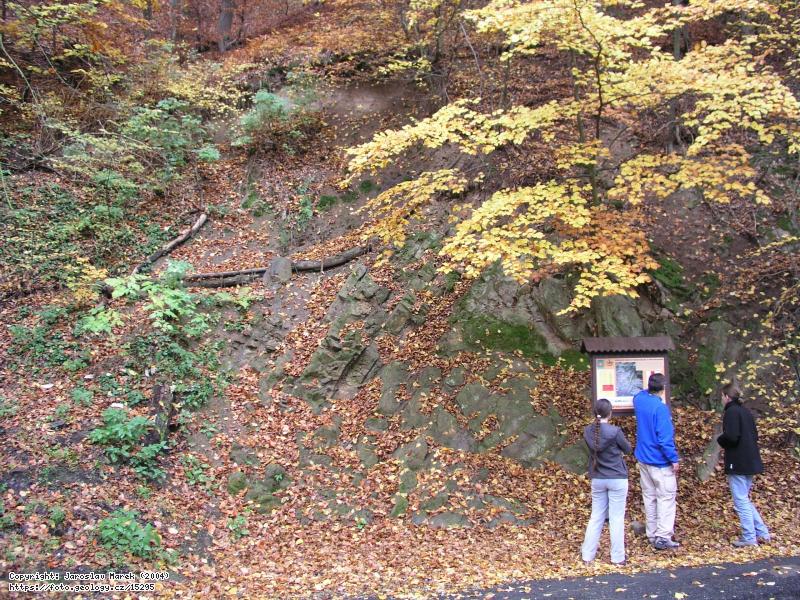 FOTO Úhlová diskordance: Úhlová diskordance mezi proterozoikem a kambriem u Týřovic, Týřovice - diskordance mezi proterozoikem a kambriem Fotografie Úhlová diskordance: Úhlová diskordance mezi proterozoikem a kambriem u Týřovic, Týřovice - diskordance mezi proterozoikem a kambriem