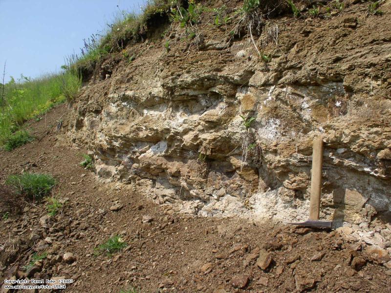 Fotografie Dvrce: Dvrce - okryv fosilifrnch sladkovodnch vpnitch oek v tufitech, Dvrce