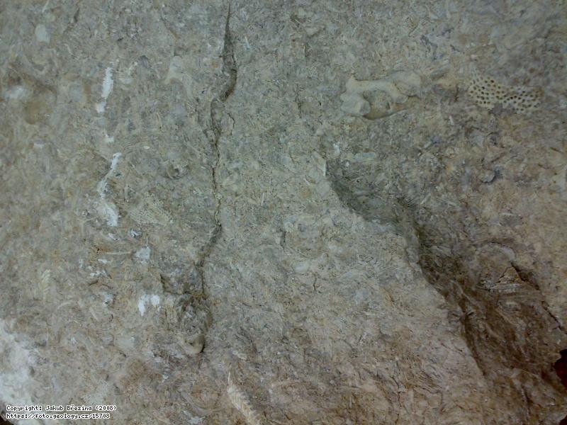 Fotografie Biogenn� v�penec: Biogenn� kon�prusk� v�penec , Houb�v lom