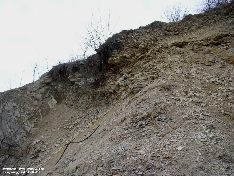 Fotografie Kdov sedimenty: Kdov sedimenty, Nmekv lom (Skalka u Velimi)