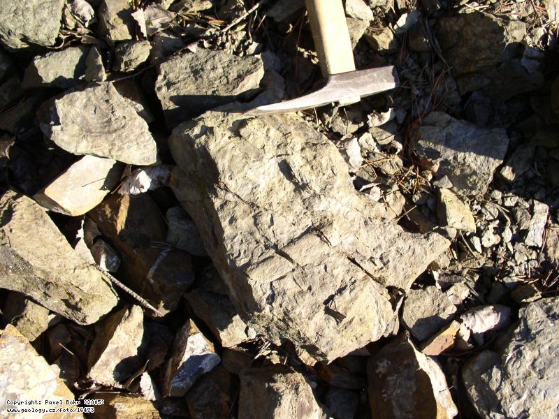 Fotografie Ichnofosilie v prachovci: Ichnofosilie v prachovci zahoanskho souvrstv, Beroun, u dlninho njezdu D5 Beroun - vchod