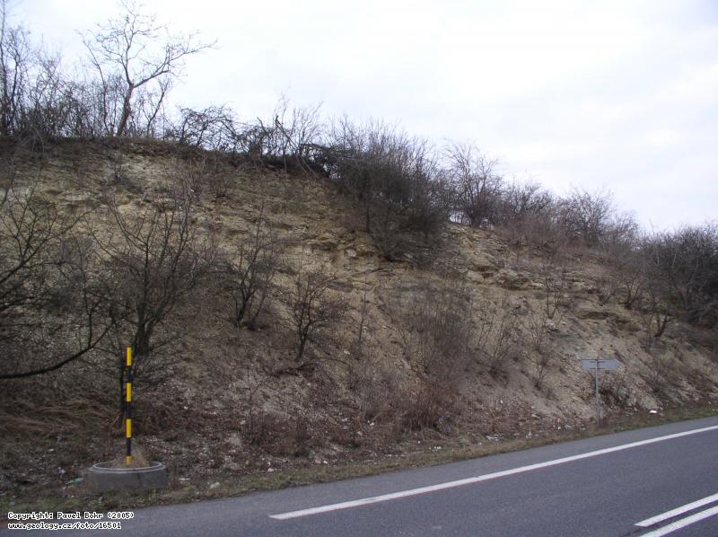 Fotografie Kdov sedimenty: Kdov sedimenty v zezu hlavn silnice u Starkoe, Zez silnice .17 mezi Starko a Lovicemi