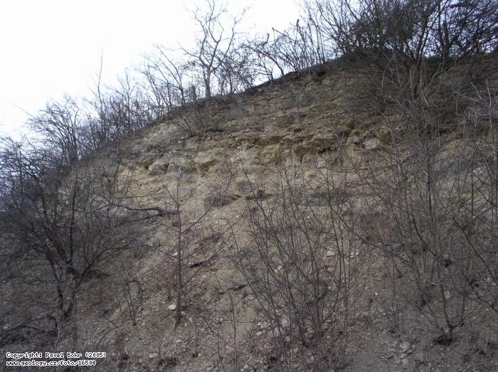 Fotografie Kdov sedimenty: Kdov sedimenty v zezu hlavn silnice u Starkoe, Zez silnice .17 mezi Starko a Lovicemi