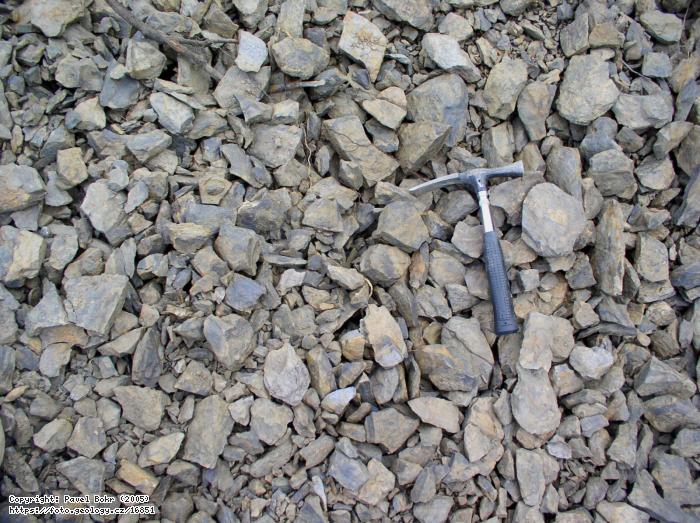 Fotografie Krlv Dvr - Horizont: Zahoansk souvrstv odkryt pi vstavb na lokalit Horizont v Krlov Dvoe, Krlv Dvr - vstavba v lokalit Horizont