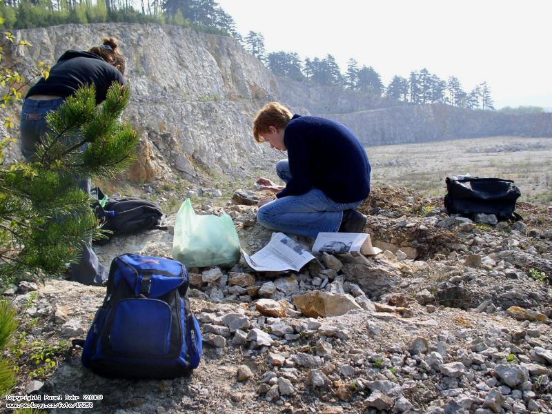Fotografie Sbr zkamenlin: Paleontologov pi sbru zkamenlin v lomu Pleivec u Konprus, Pleivec u Konprus