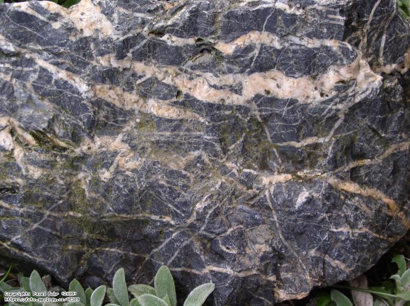 Fotografie Buli�n�k (silicit): Buli�n�k (silicit), Okol� Zbiroha