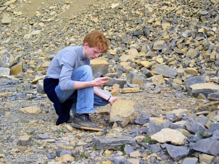 Fotografie Sbr zkamenlin: Sbr zkamenlin v lomu Kosov u Berouna, Lom Kosov u Berouna