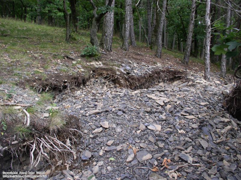 Fotografie Jince - Vystrkov: Jince - vrch Vystrkov, Jince - vrch Vystrkov