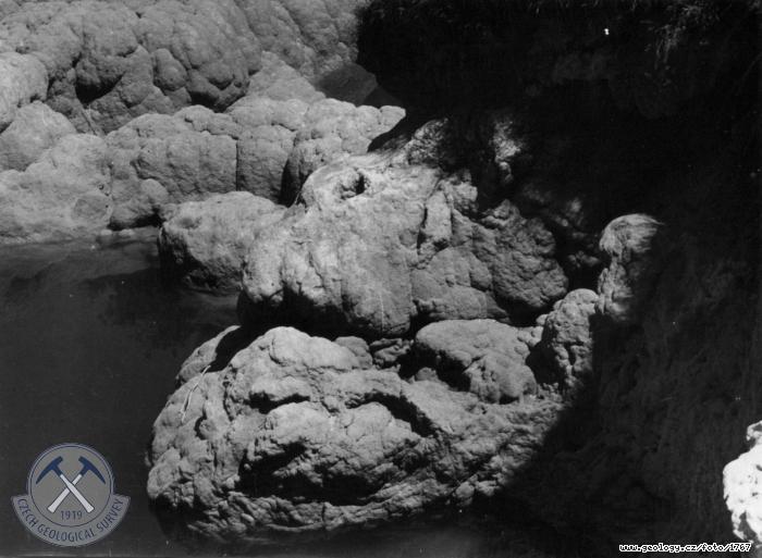 Fotografie : Travertinov usazeniny na ece pod vodopdy, eka Krka