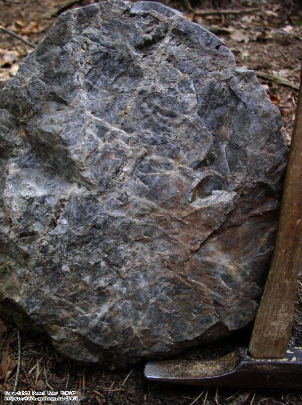Fotografie Buli�n�k - silicit: Buli�n�k - silicit z �ertovy sk�ly u Zbiroha, �ertova sk�la u Zbiroha (vrcholov� partie)