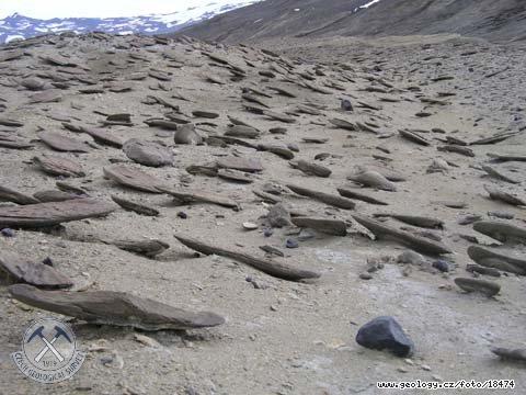 Fotografie Konkrece v Antarktid: Vyvtrvajc konkrece z kdovch sediment , Antarktida - ostrov James Ross