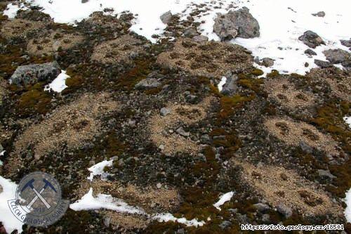 Fotografie Polygon�ln� p�dy: Polygon�ln� p�dy, Antarktida - ostrov James Ross