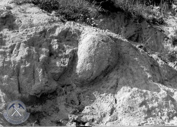 Fotografie Balvanit rozpad tonalitu: Balvanit rozpad tonalitu pi silnici jv od Kunvaldu, Orlick hory