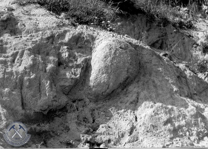 Fotografie Balvanit rozpad tonalitu: Balvanit rozpad tonalitu pi silnici jv od Kunvaldu, Orlick hory